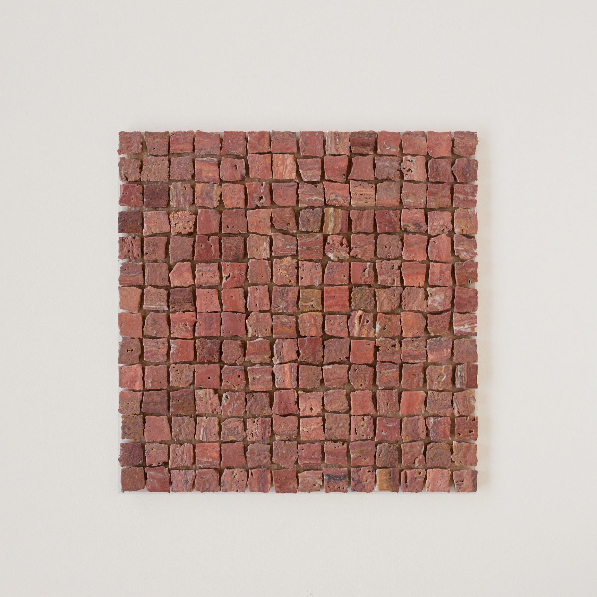 EZPD0001 Coral Sample