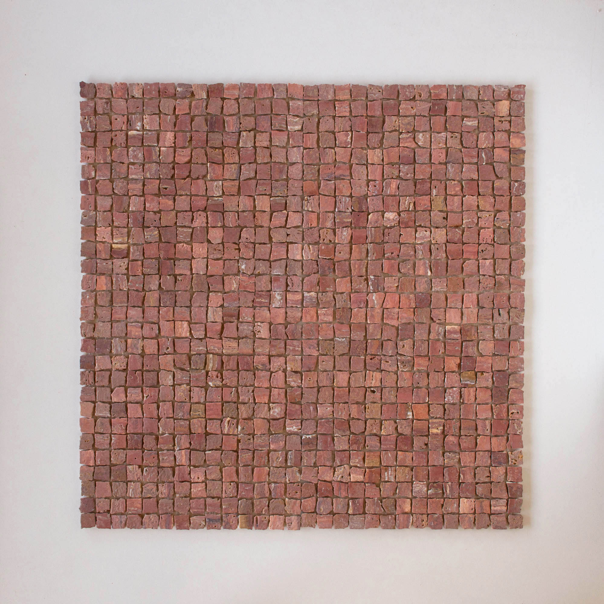 EZPD0001 Coral Sample