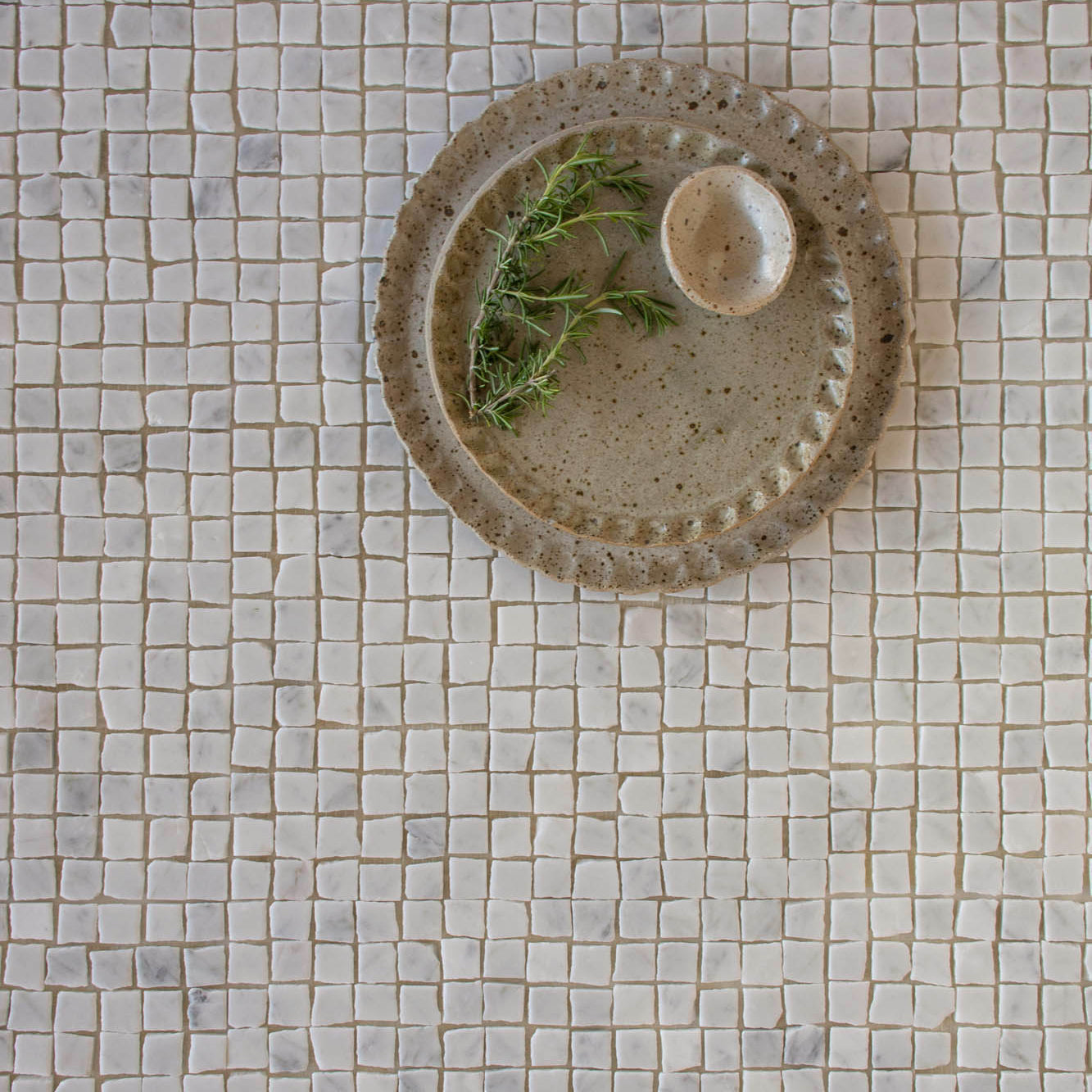 EZPD0001 Seashell Sample