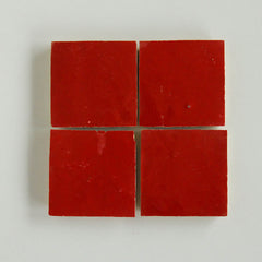 ZAIGLE Plusレッド ザイグルプラス ザイグルプラス製品詳細 ザイグル公式サイト