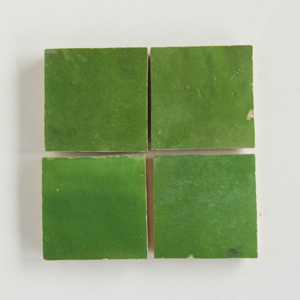 Kermit Individual Tile Sample