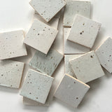Tierra Square Nieve Punto Sample