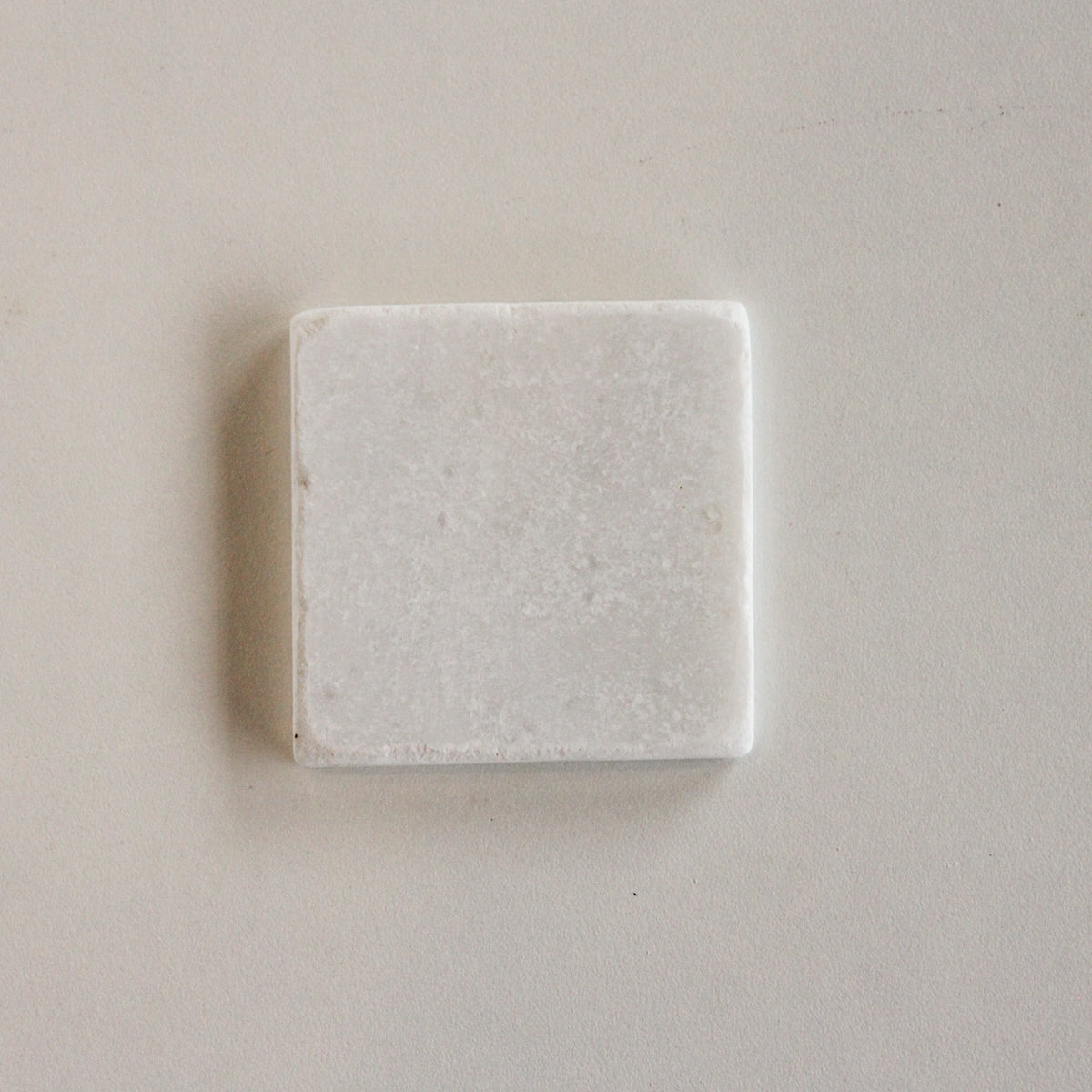 Seashell Individual Sample