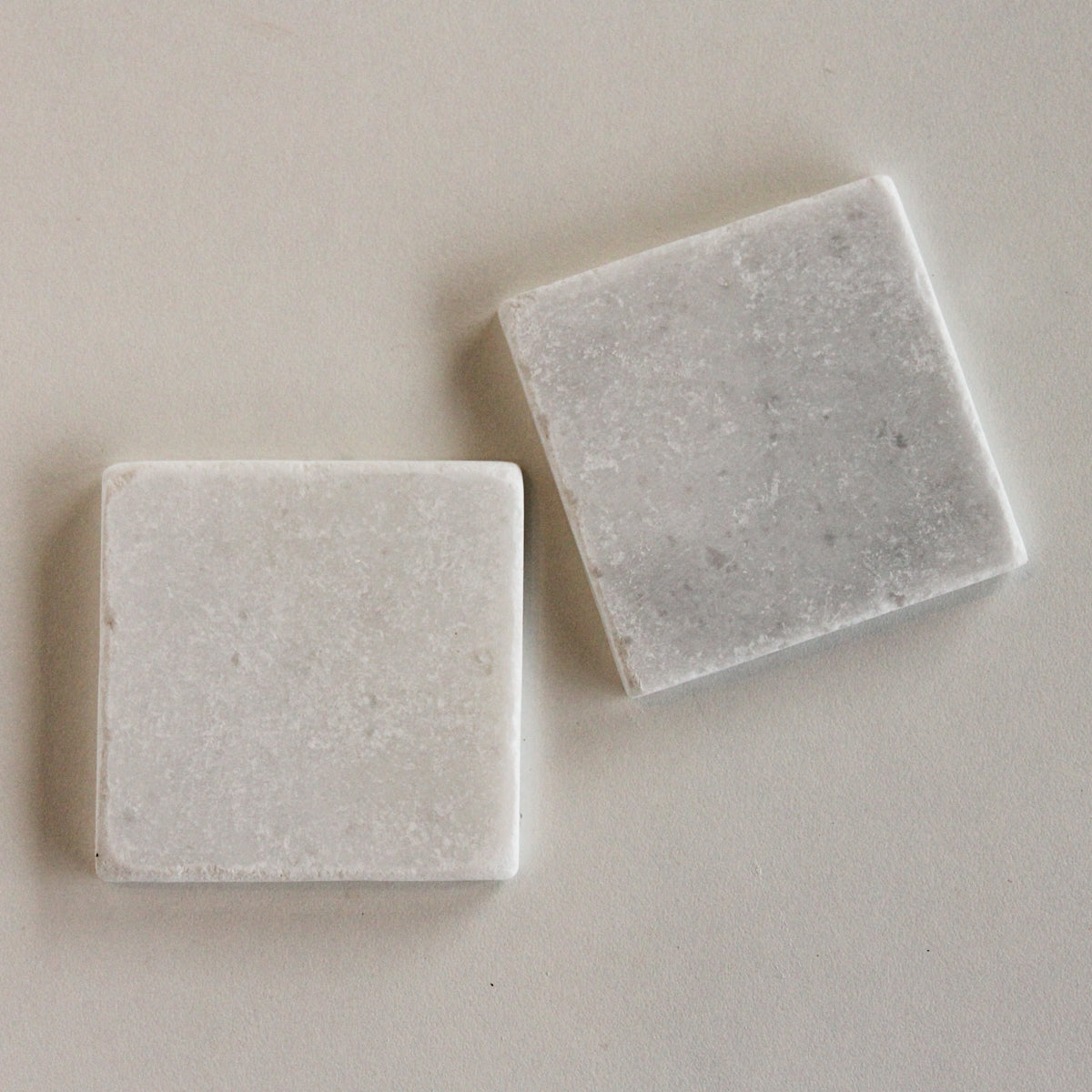 Seashell Individual Sample