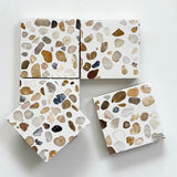 Clove Terrazzo Individual Sample